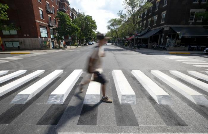 This pedestrian crossing is not a decoration