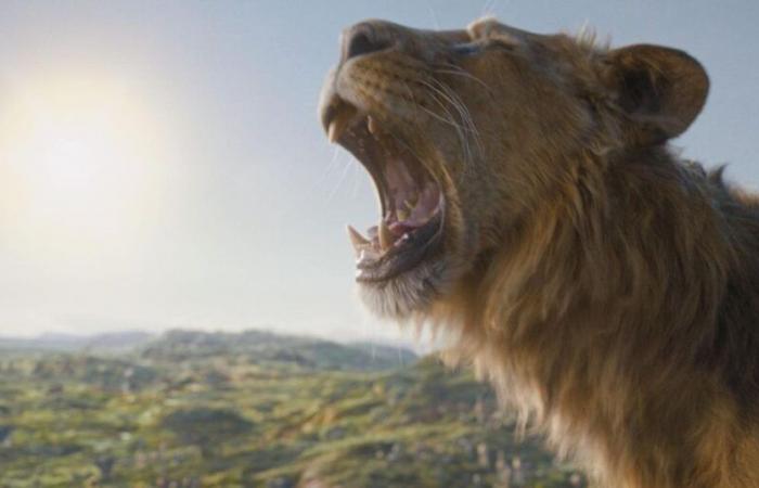 Cinema releases: “Mufasa: The Lion King”, “Never without my shrink”