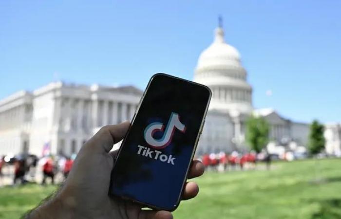 TikTok gets a chance: US Supreme Court agrees to hear case