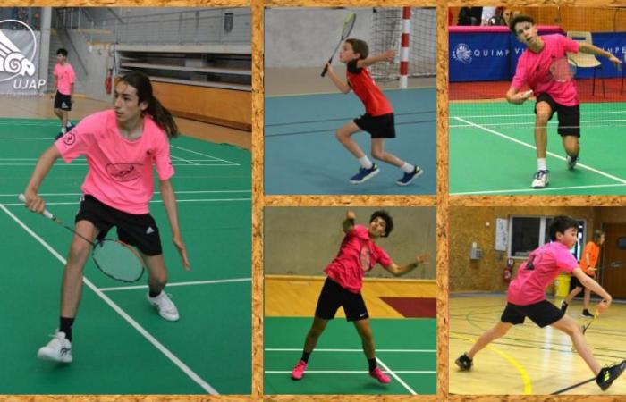 UJAP Badminton: the next generation ensures – quimper – badminton