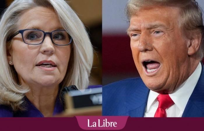 Trump warns noted critic Liz Cheney could be in ‘big trouble’