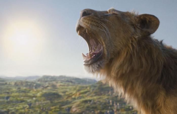 Cinema releases: “Mufasa: The Lion King”, “Never without my shrink”