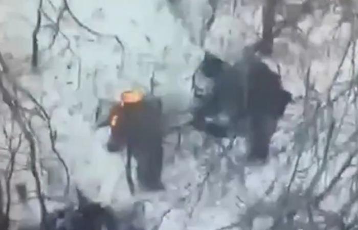 War in Ukraine: “lack of respect”, “humiliation”, the Ukrainian president reveals videos where Russian soldiers burn the faces of North Koreans who died in combat