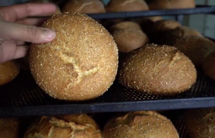 Libre Tribune: Bakery profession in Morocco, what future?