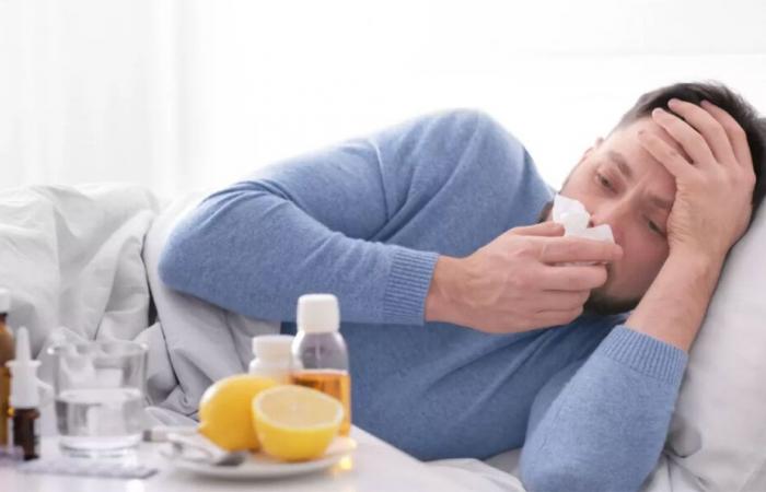 Spread of influenza in Tunisia: two types of viruses already detected