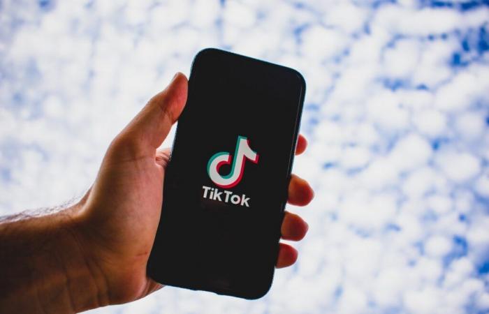 TikTok gets a chance: US Supreme Court agrees to hear case