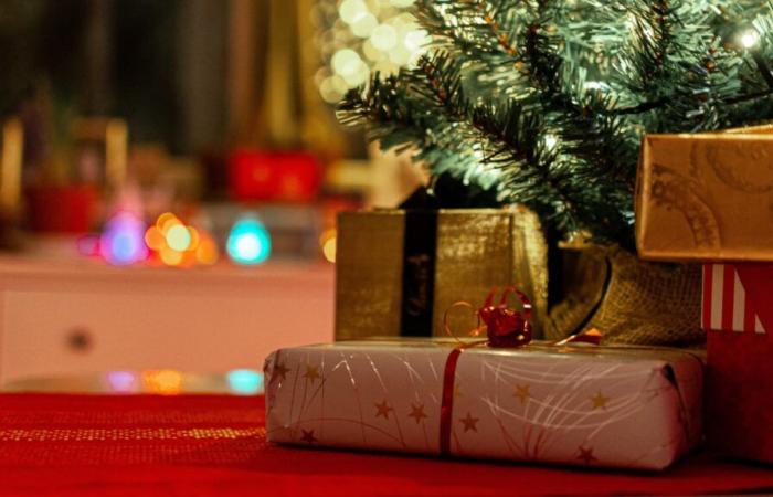 The average price of toys is stable for Christmas, good news for the French wallet