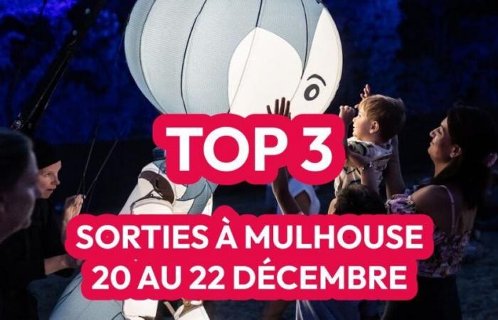 Mulhouse weekend outings: Blue Christmas, Ecomuseum and Christmas Circus