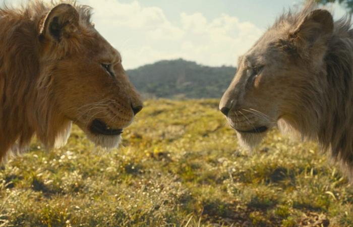 what is the Lion King prequel worth? Our review