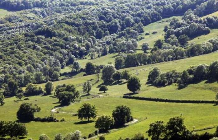 Agricultural and forestry land development in Côte-d’Or