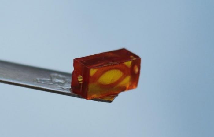 BIO INX launches gelatin-based DLP resin for 3D bioprinting