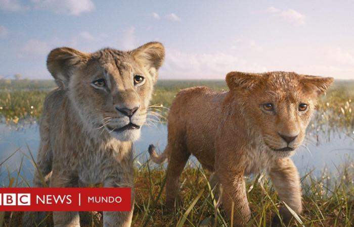 Mufasa | “It contradicts everything established in ‘The Lion King'”: the BBC’s harsh criticism of the new Disney film