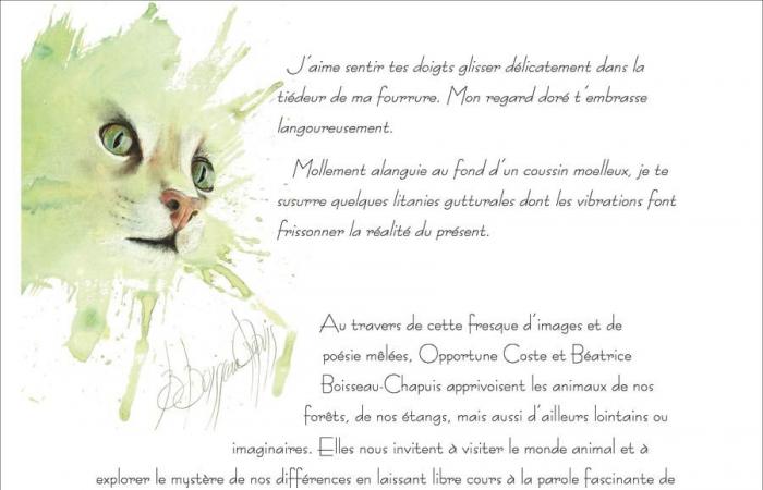 Contemporary cultureNewsFour-handed animal art by Opportune Coste and Béatrice Boisseau-Chapuis. When painting and poetry intertwine in a beautiful book