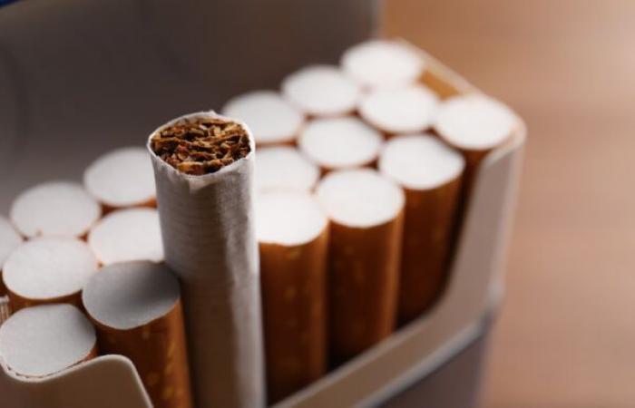 Possible contraband cigarettes intercepted in Saint-Louis-de-Blandford