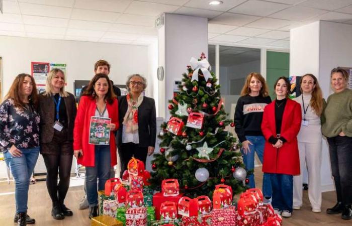 LA SEYNE SUR MER: Nearly 300 “Christmas Boxes” for the most modest