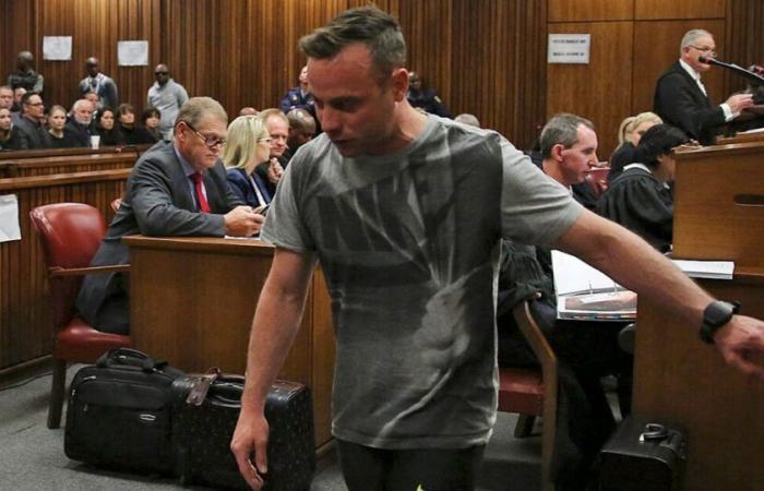 The resemblance between Pistorius’ new girlfriend and his murdered ex