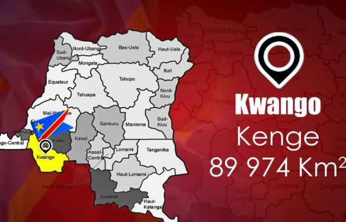 DRC: the decimating disease in Kwango is due to serious malaria, linked to respiratory distress, according to the Ministry of Health