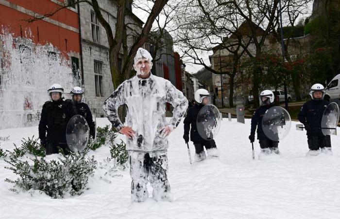 Several hundred Walloon public service agents in the streets of Namur to denounce budget cuts