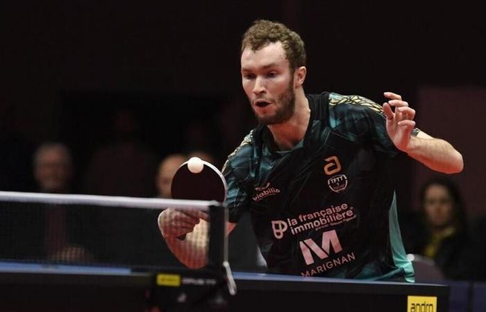 Table tennis. Pro A: Thorigné-Fouillard takes on water in Rouen