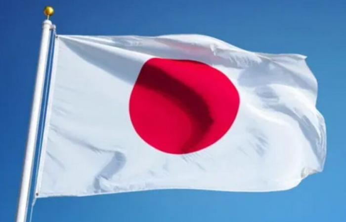 Environment: Japan wants to make renewable energies its primary source of electricity by 2040