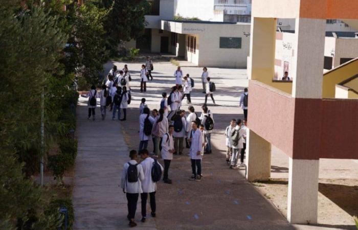 Education in Morocco: notable progress, but persistent disparities (Census)