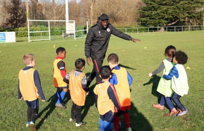 Angoulême: the Basseau football club is overflowing with children