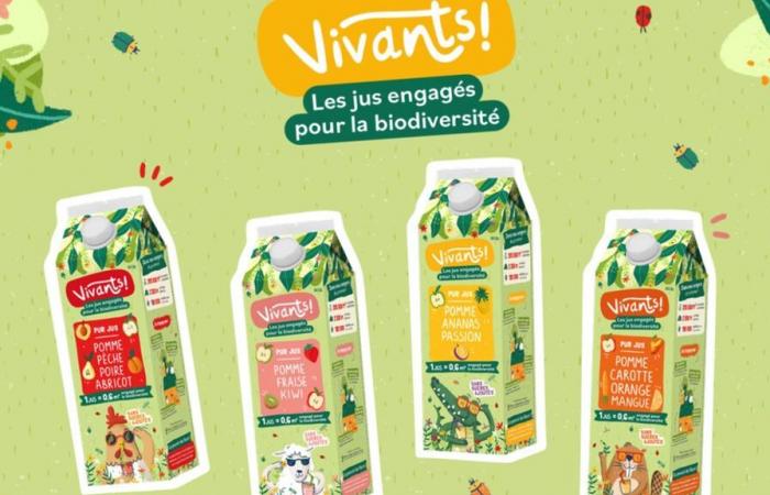 Beyond Green launches the Vivants!