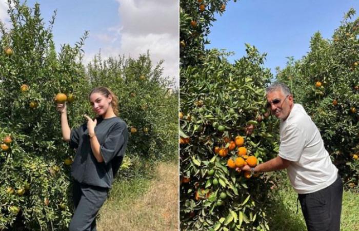 The Berkane region “ready for an agricultural renaissance” thanks to desalination stations