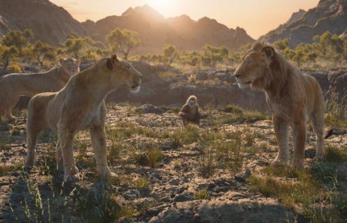 Parcoursup, Grenoble, “The Lion King”… The five positive news of the day