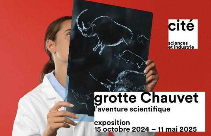 “Chauvet Cave, the scientific adventure” to be seen at the Cité des Sciences in Paris until May 11, 2025