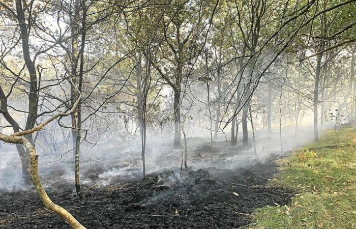 Fighting fires and power cuts at the heart of the Camors municipal council