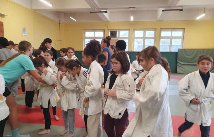 Judo school of Soum / Saint Joseph college, a story of collective learning – LOURDES-ACTU