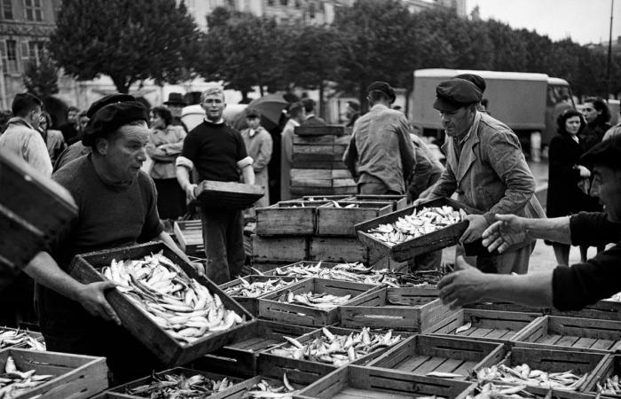 When the great photographers immortalized the two Charentes