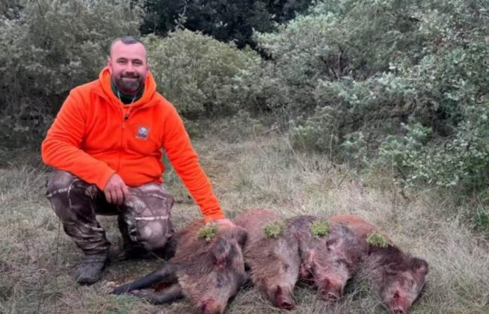 Two wild boar doubles at a golden position during the same hunt for Bruce Boar Hunter!