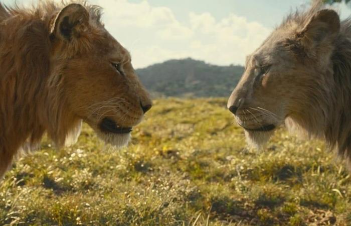 Our film review of the film “Mufasa, the Lion King”: the father’s journey