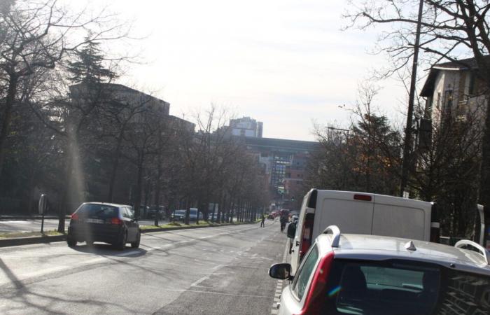 This new radar “is hidden” behind a tree in Toulouse, the mayor asks that it be moved