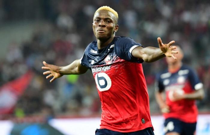 the ridiculous sum received by Lille for the transfer of Osimhen, according to Létang