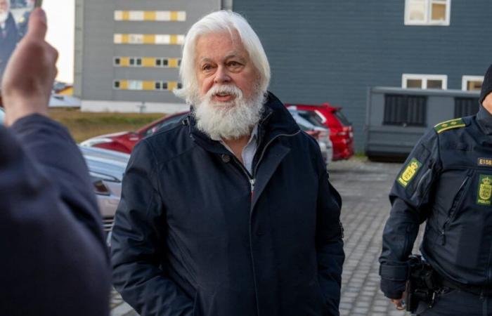 Paul Watson is ‘ready to continue the fight’ against whale hunting