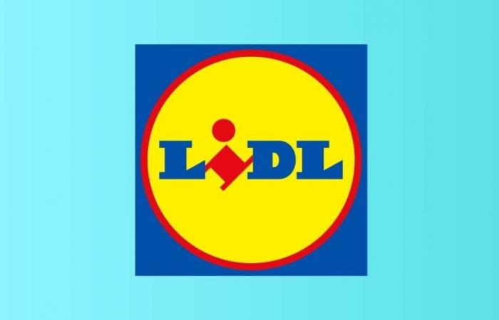 Lidl hits hard with these 5 Parkside offers at very low prices