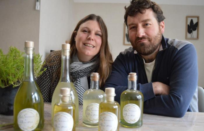 Near Blois they sell a “arranged rum” with surprising aromatic plants