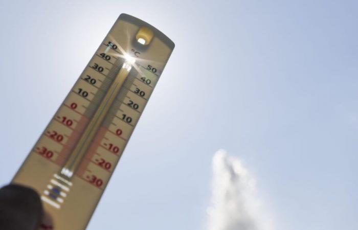 In France, 2024 is one of the hottest years since 1900 according to Météo-France