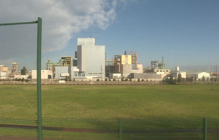 VIDEO. PFAS. Eternal pollutants in soil and water south of Lyon, according to a study launched by a collective of residents and led by a Canadian laboratory