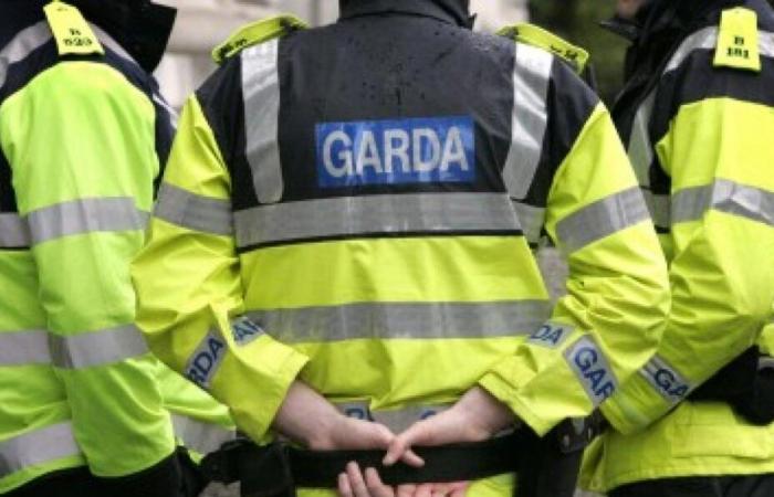 Gardaí search cells in Portlaoise Prison following widescale operation