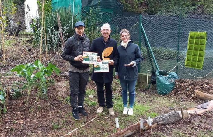 Unusual: this Castres tennis club won the Coupe de France… vegetable gardens