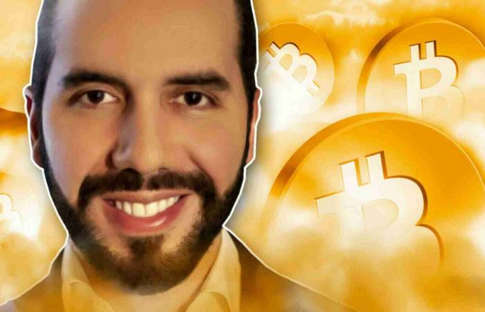 Bitcoin in El Salvador: The IMF puts BTC under pressure