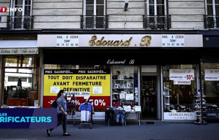 CHECK – Has France really already “entered into recession”?