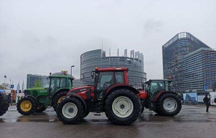 Strasbourg. Farmers’ demonstration this Thursday: what you need to know