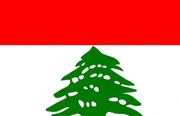 the Métropole du Grand Nancy mobilizes in support of the civilian population of Lebanon— Métropole du Grand Nancy