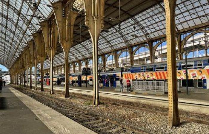 SNCF Voyageurs Sud Azur: From Cannes to Menton a TER every 15 minutes