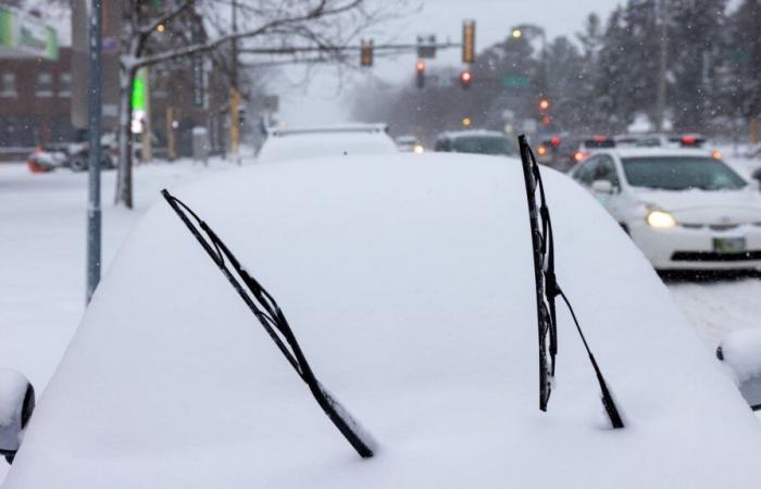 How much snow has fallen in Minnesota?